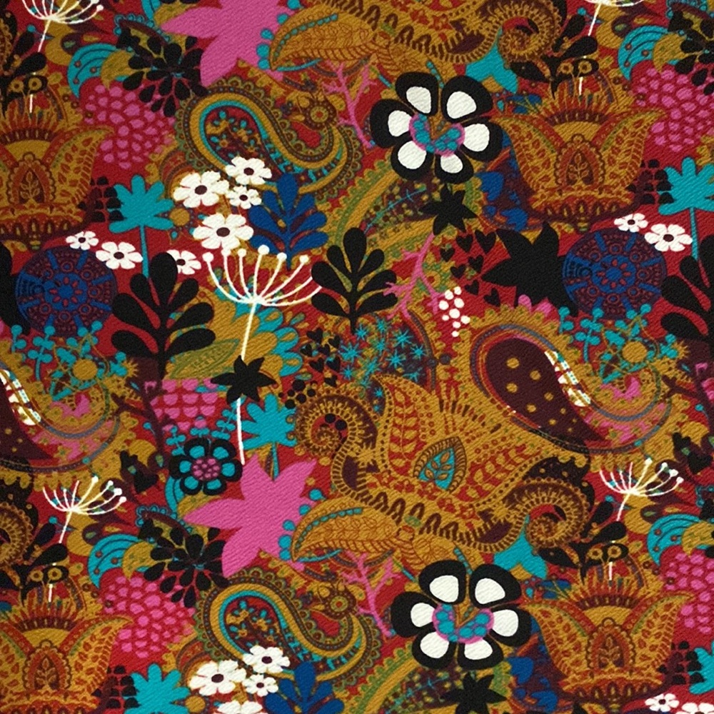 (2 for $8) LuLaRoe Cassie Skirt with Paisley Print - Picture 2 of 5